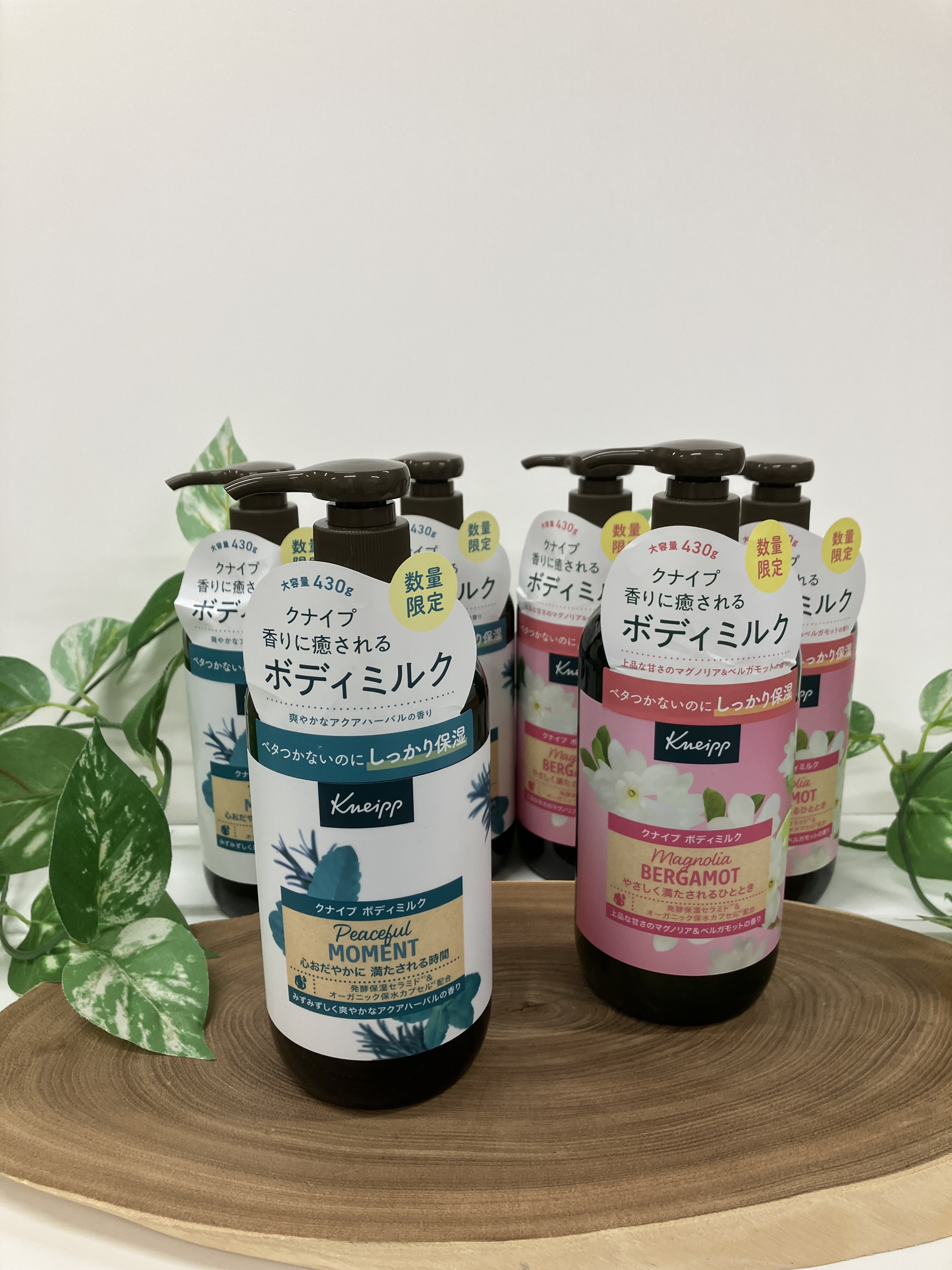 https://kanazawa.hands.net/item/51fb01c7b80ad33394d651edb91f9eafb65300ac.JPG